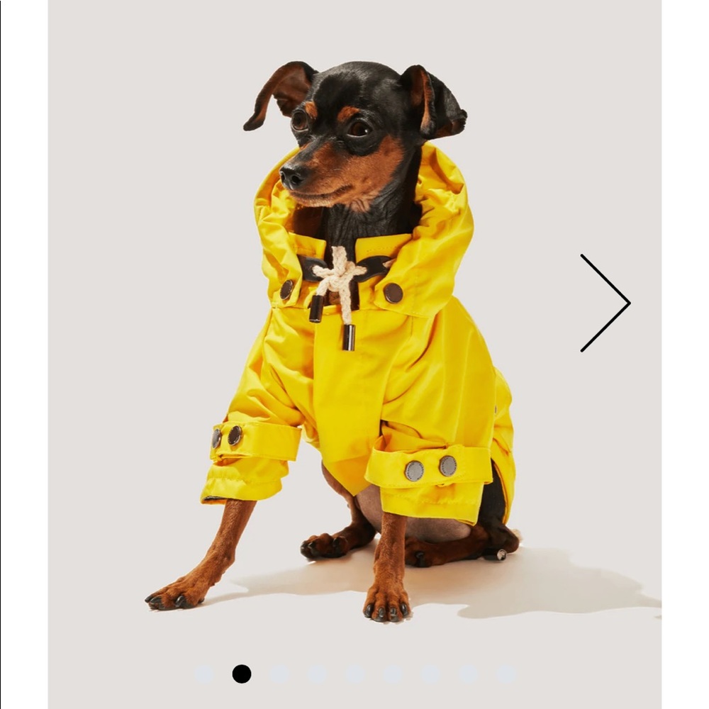 Max Bone talon raincoat
